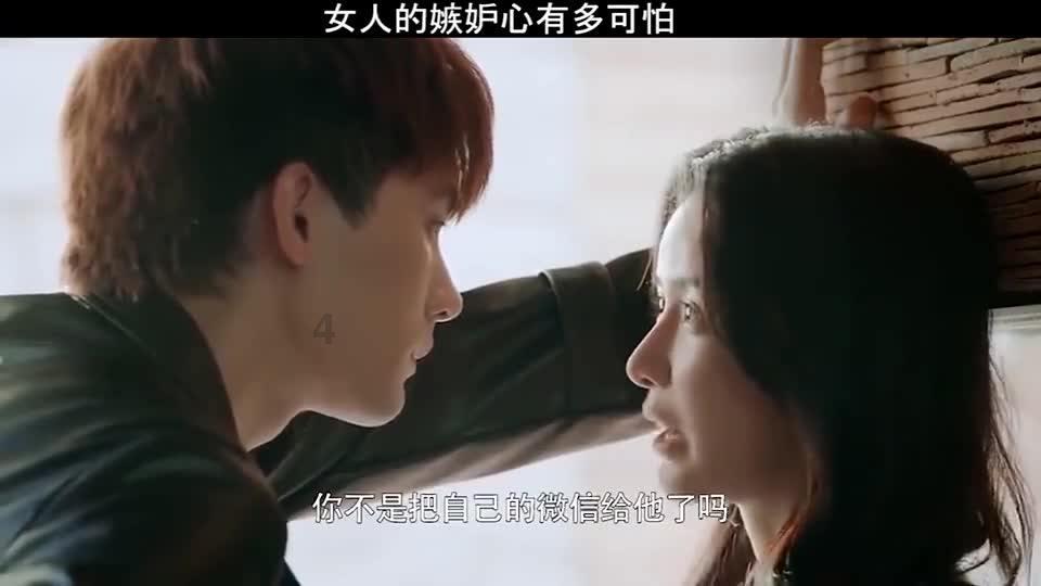 贪吃鼠吃豆豆