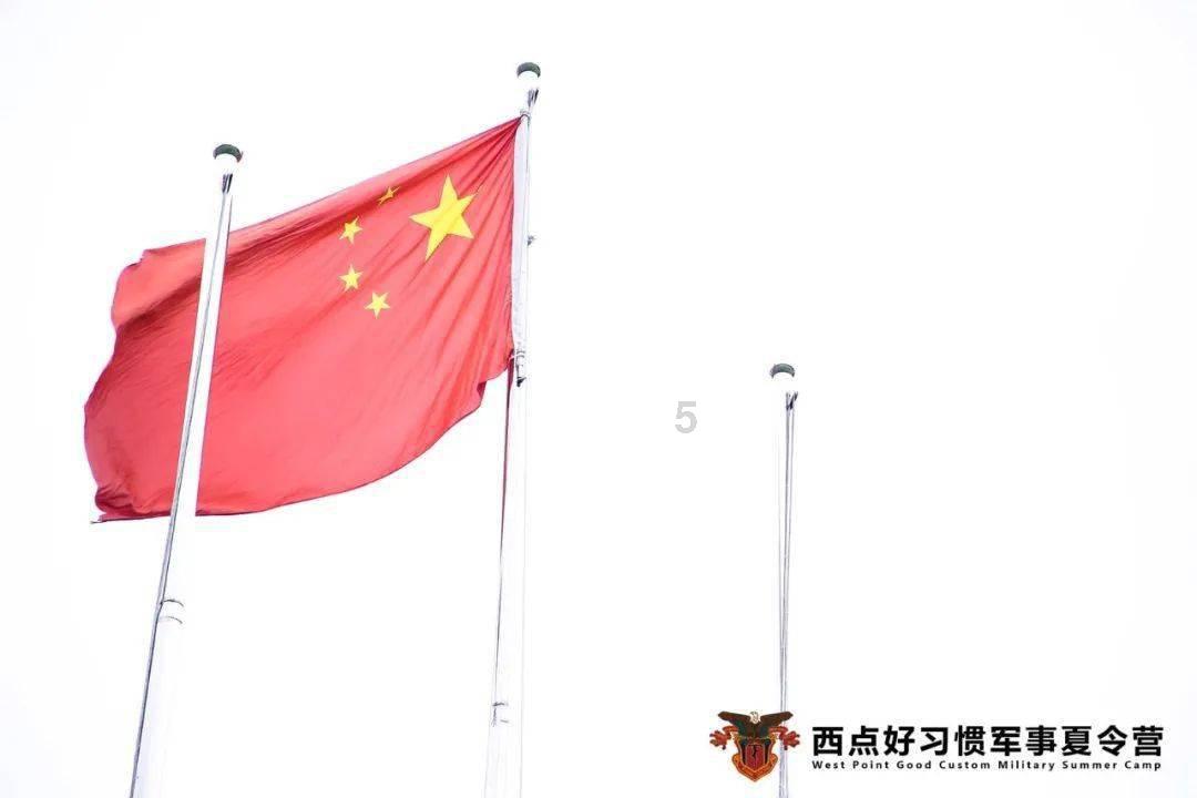 救援快乐的兔子